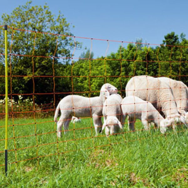 PEL Sheep Netting