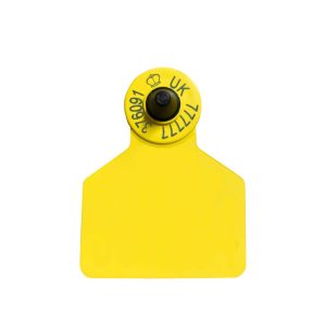 Z Tags Replacement Large Z2 Secondary with Blank Management Space Cattle Tag