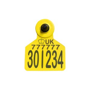 Z Tags Z2 Management Tag EID HDX Large Yellow (Flag Part Printed)