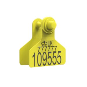 Z Tags Replacement Medium Z2 Cattle Tag