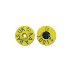 Rubba 3 Button Tag