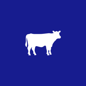 Cattle Tags