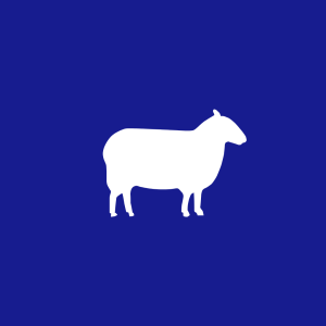Sheep Tags