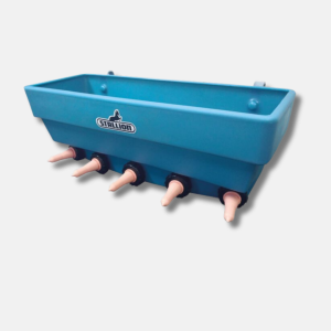 Dairy & Feeders