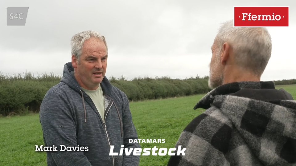 Mark Davies speaking about Active Tag Beef